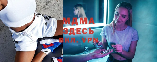 индика Ельня