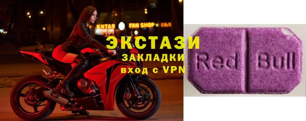 индика Ельня