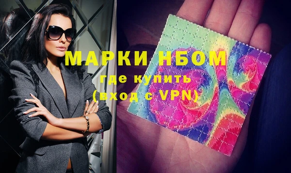 индика Ельня