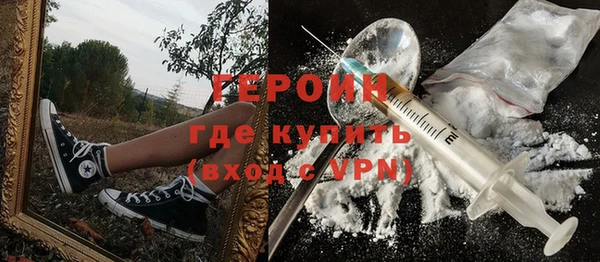 индика Ельня