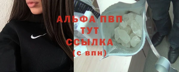 индика Ельня