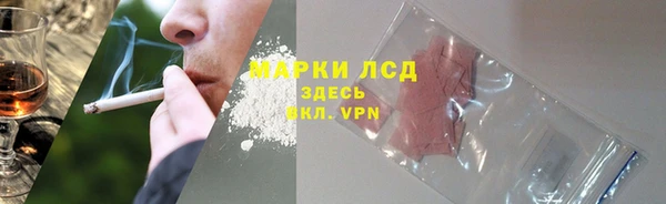 соль ск Заводоуковск