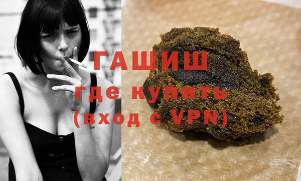 индика Ельня