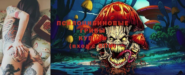 индика Ельня