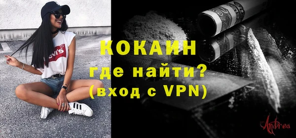 индика Ельня