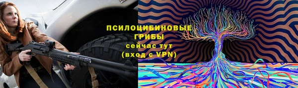 бошки Елабуга