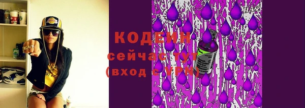 бошки Елабуга