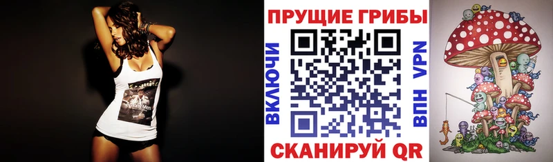 даркнет состав  Салават  Галлюциногенные грибы GOLDEN TEACHER 